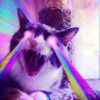 shadowcatb
